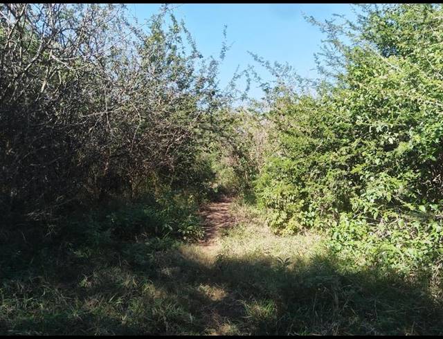 FARM FOR SALE IN TSWINGA